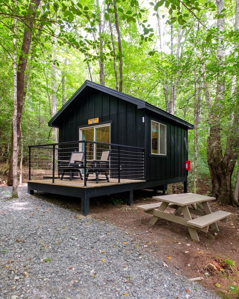 Family Bunk Glamping Cabin - Bed & Bear