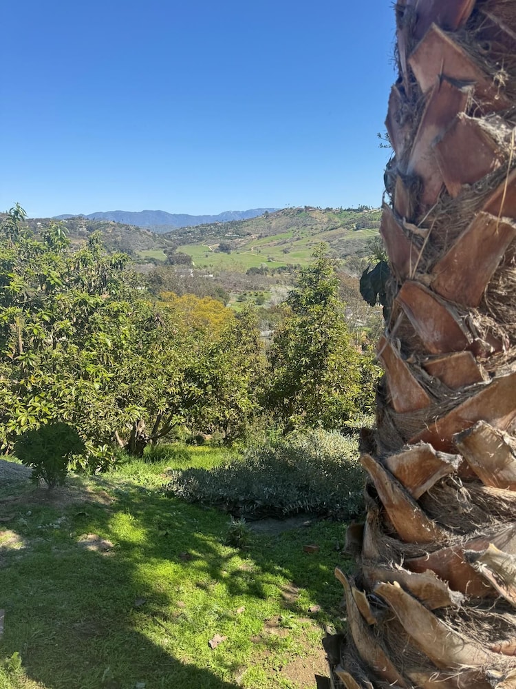 The Den at Coyote Ridge