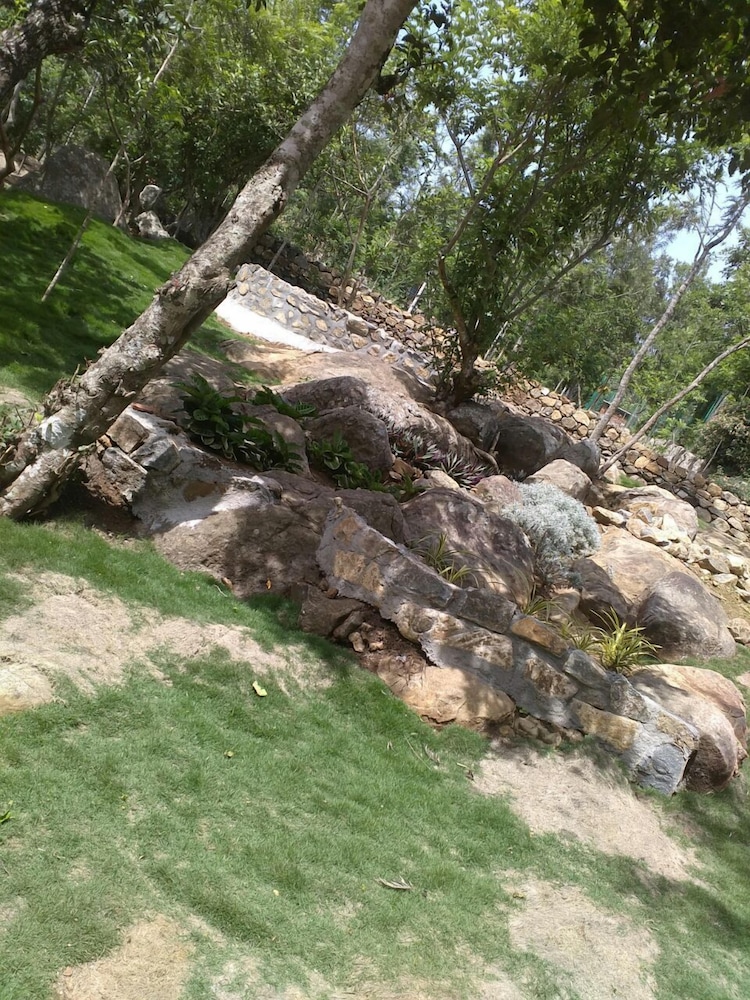 The Brook Resorts & Spa