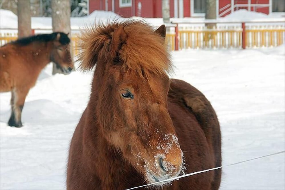 Majatalo Aapiskirja