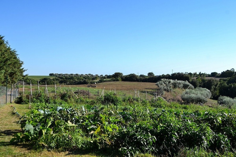 Ars Naturae Biologic Farm