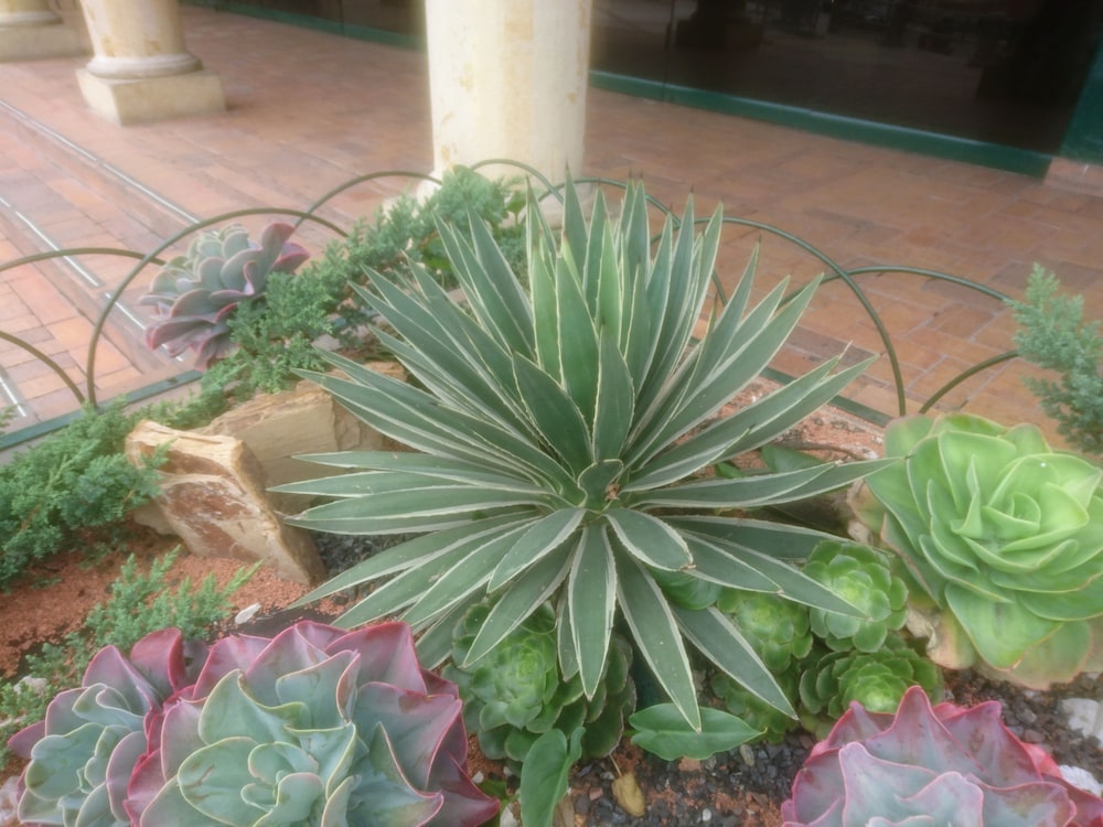 El Carnero Hostel - Property Image 7