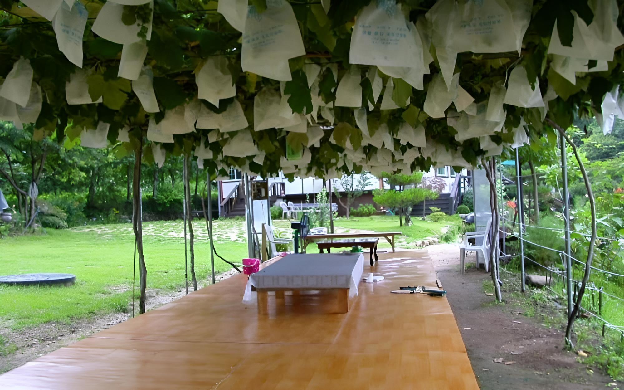 Wonju Chiaksan Juryeongol Pension view 4