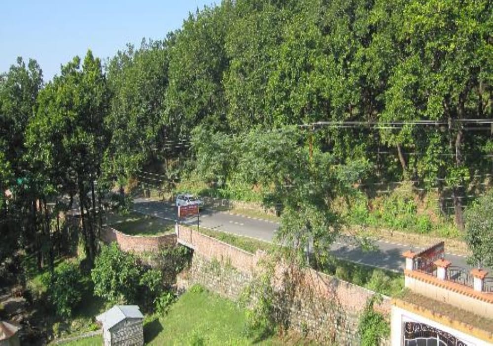 Photo 8