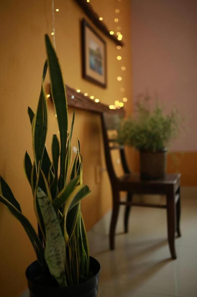 Mia's House - Hostel