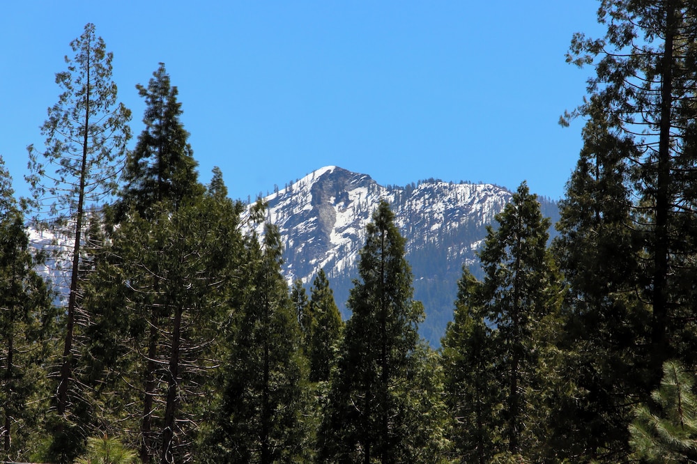 Quail Meadow
