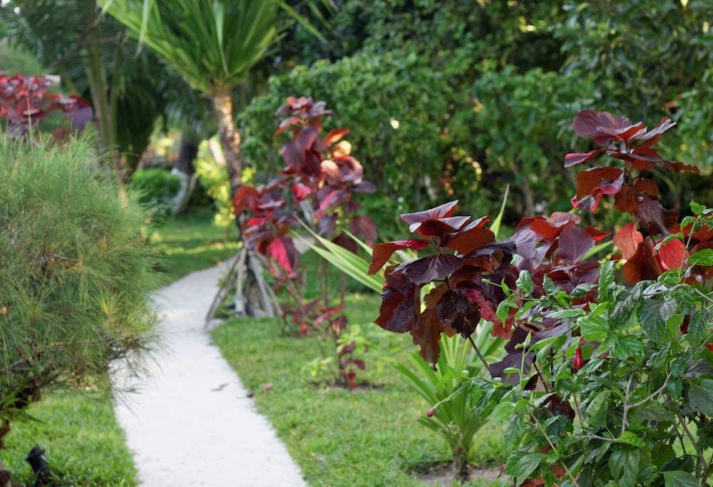 Analatsara Eco Lodge