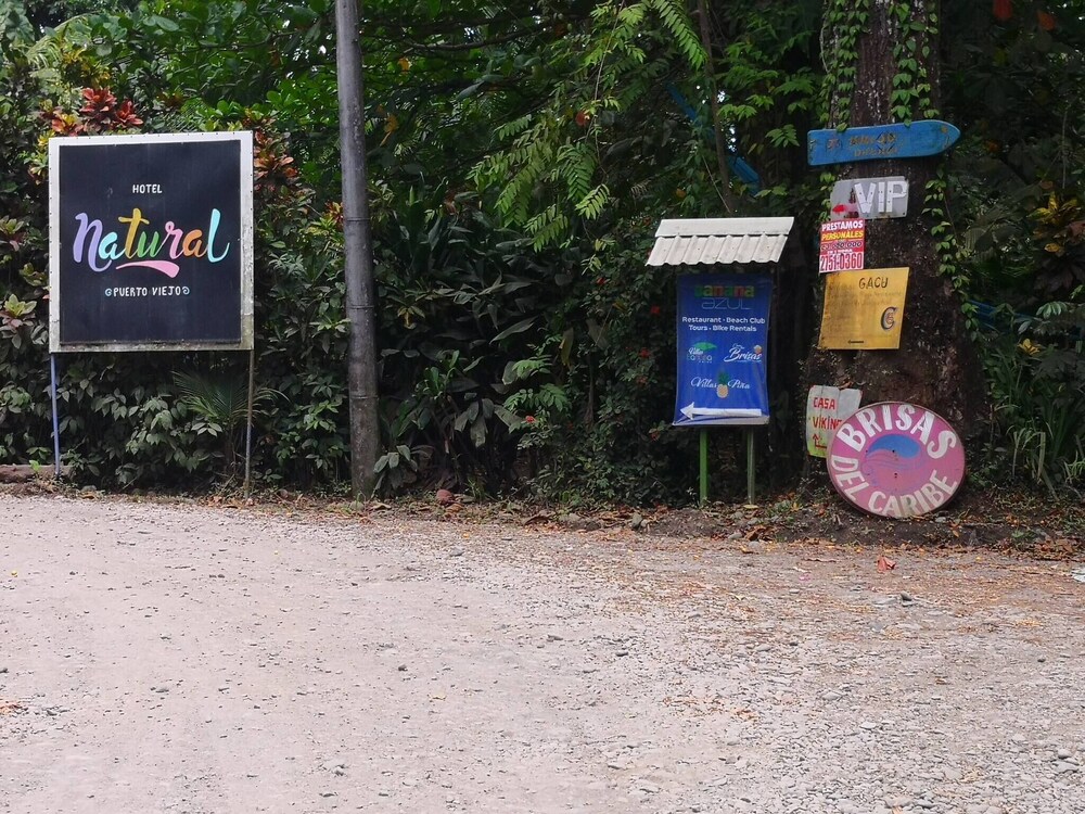 Brisas del Caribe # 2