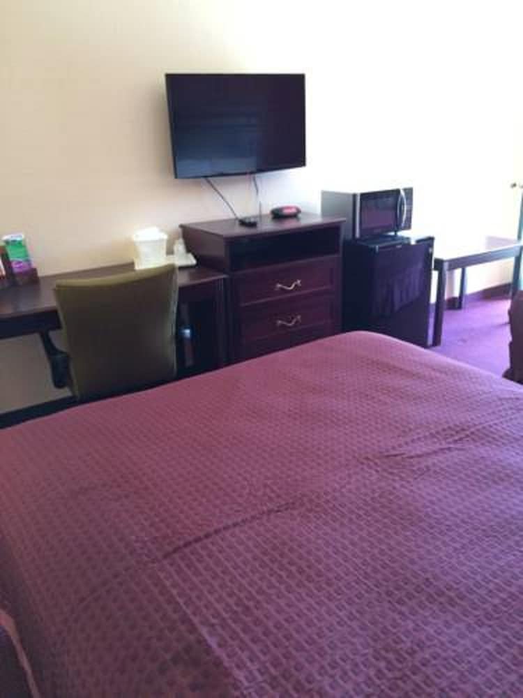 Ozark Springs Lodge view 4