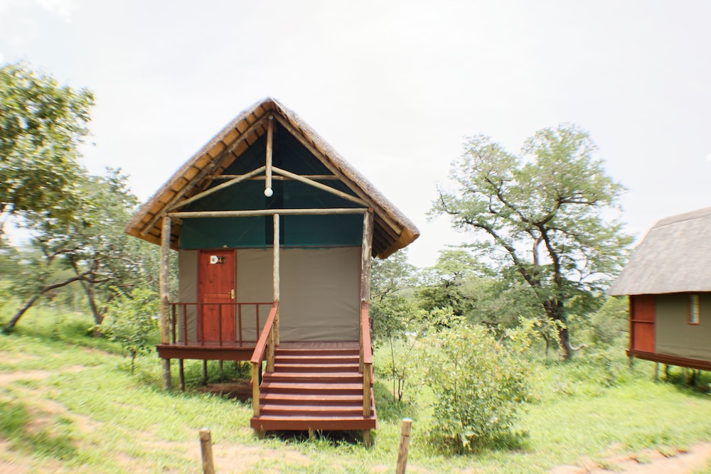 Lion Roars Lodge