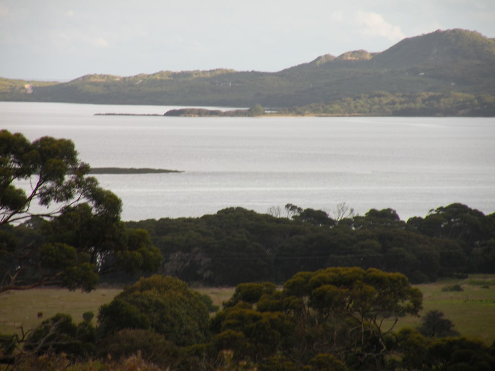 The Anchorage