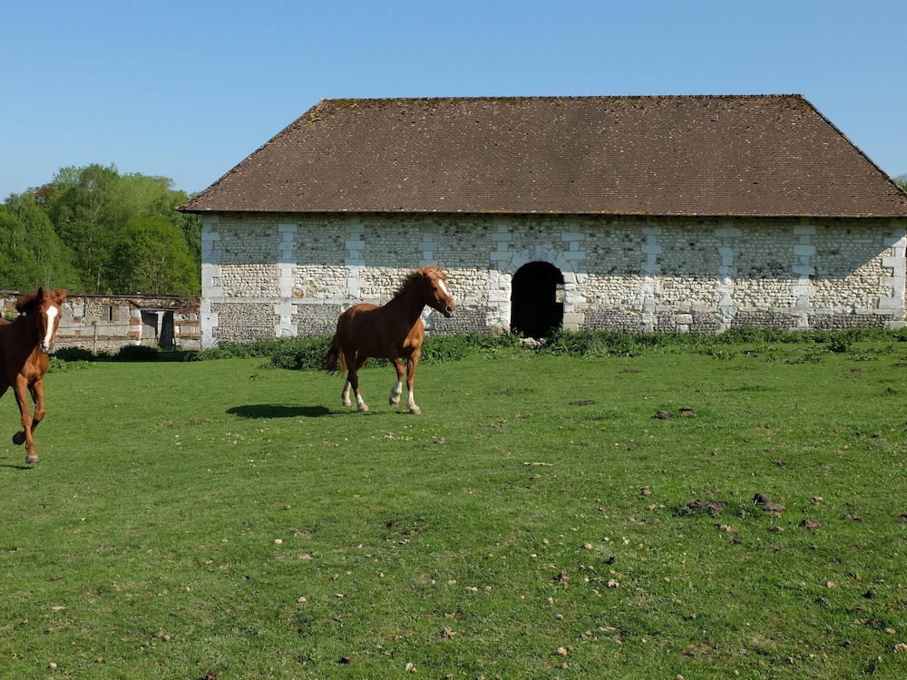 Photo 40