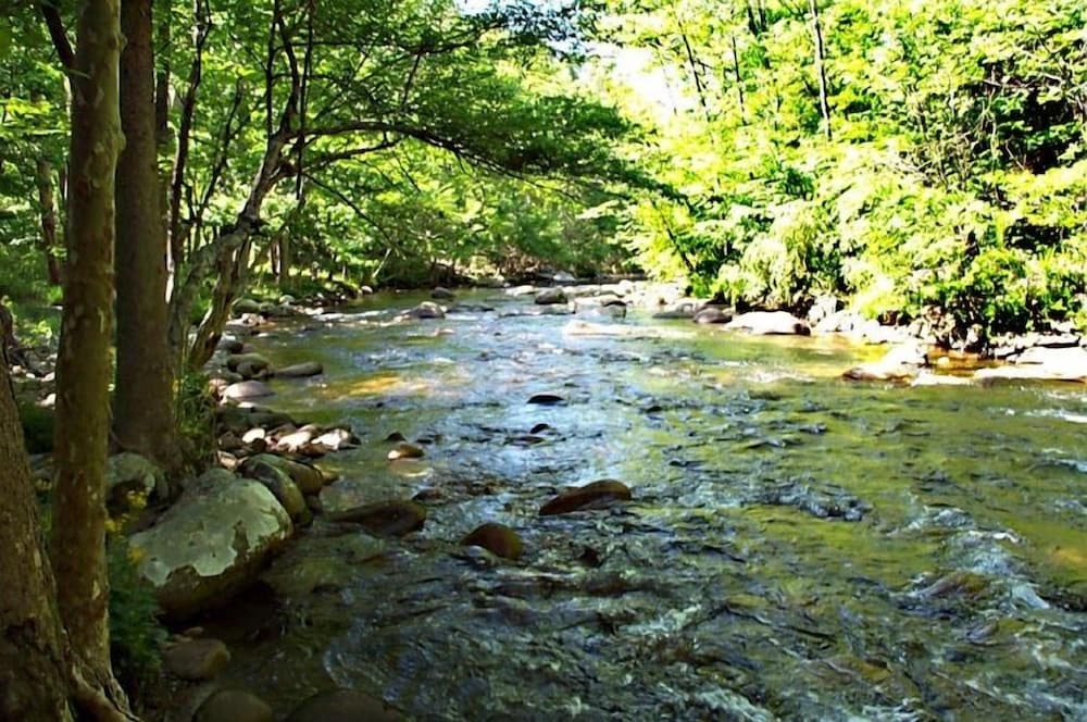 Photo 26