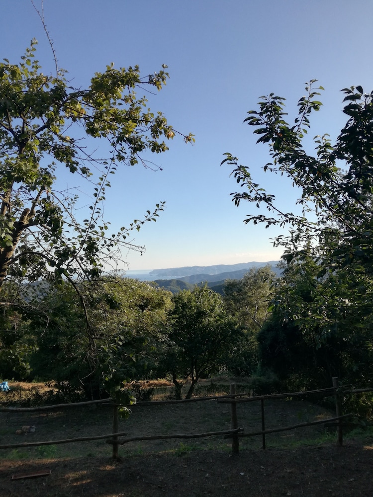 Berzuaia