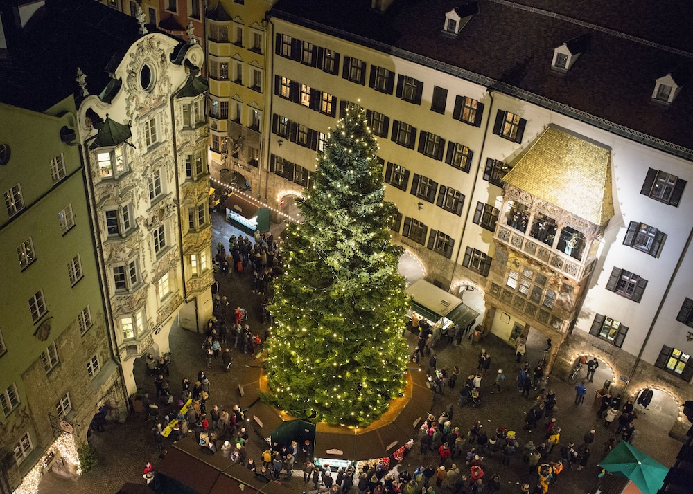 Alpbach Bergwald