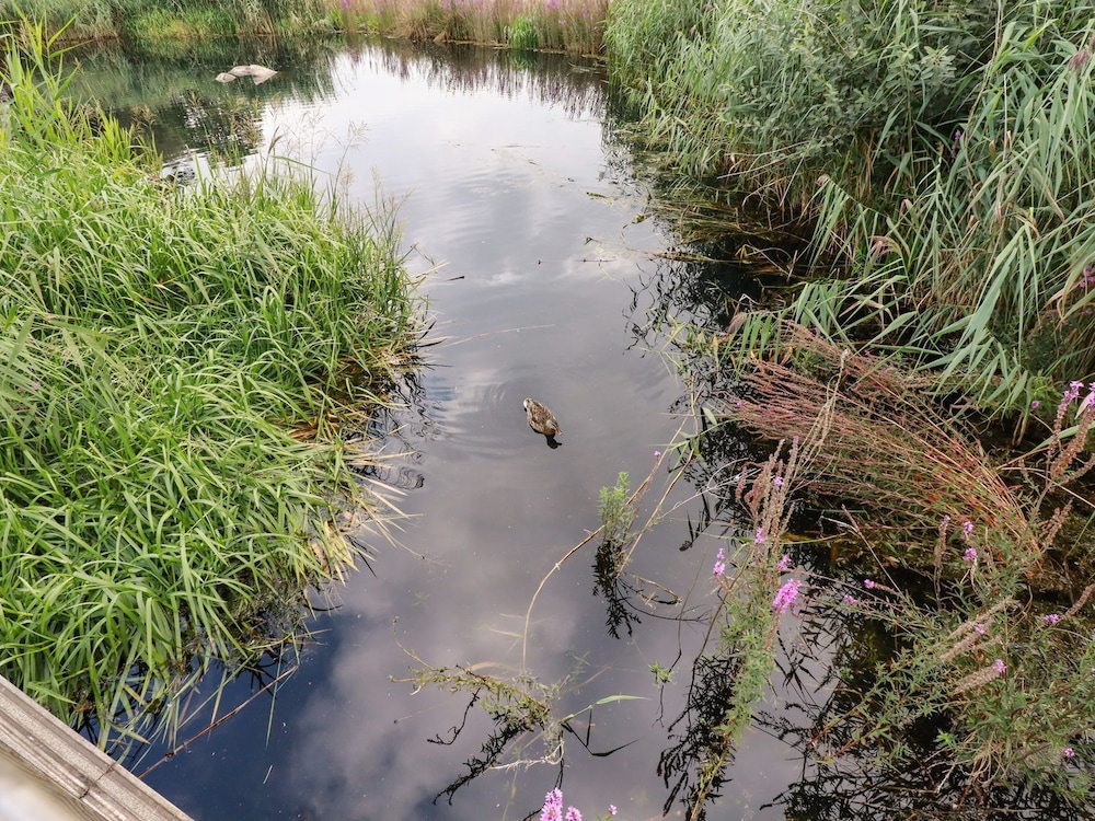 Photo 26
