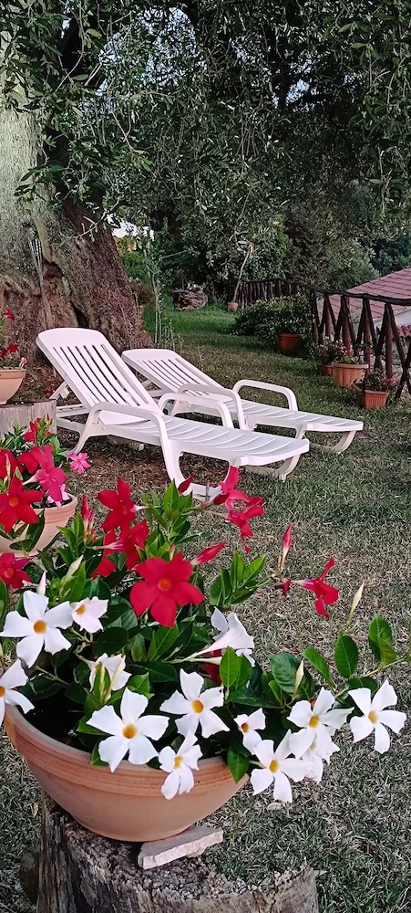 AGRITURISMO  LA FOCAZZA