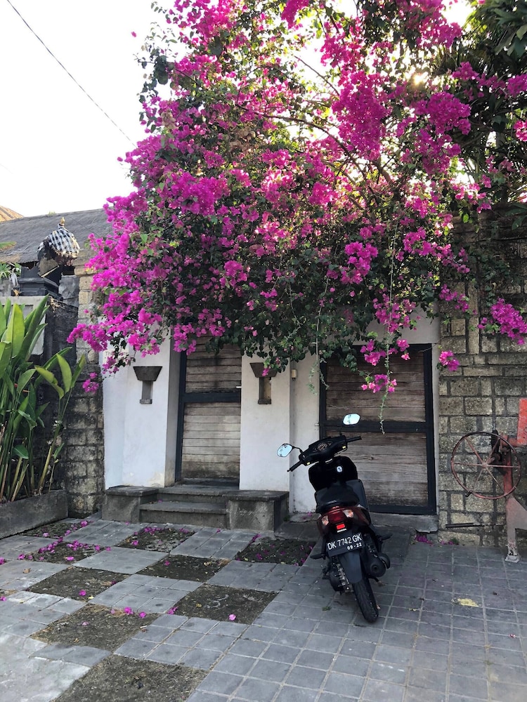 Lush 1 BR Private Pool Villa Inseminyak