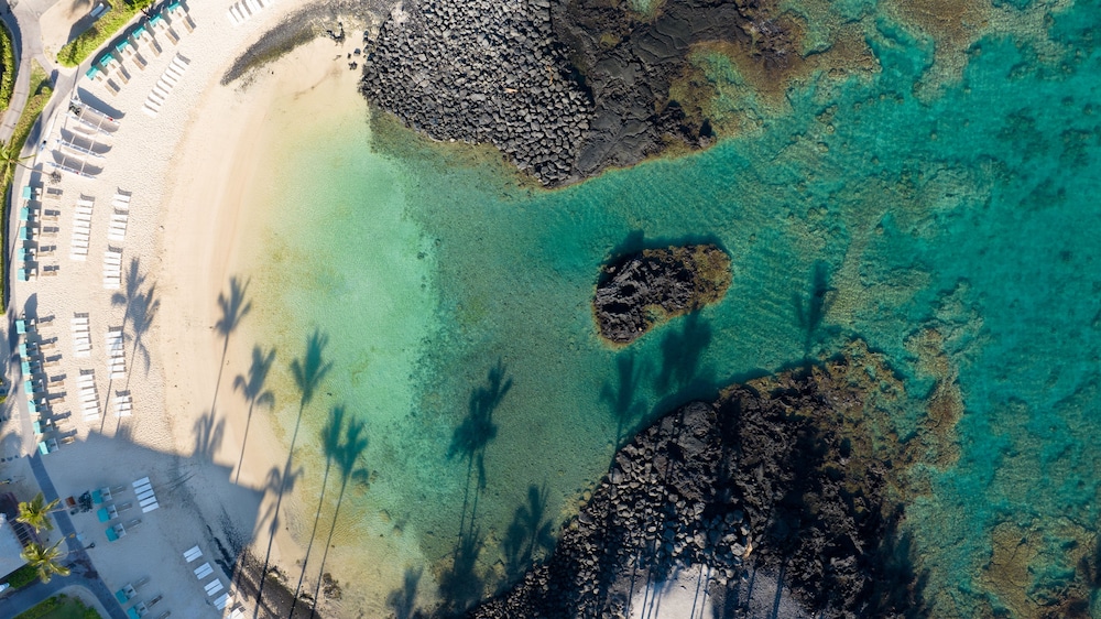 Fairmont Orchid - Property Image 150