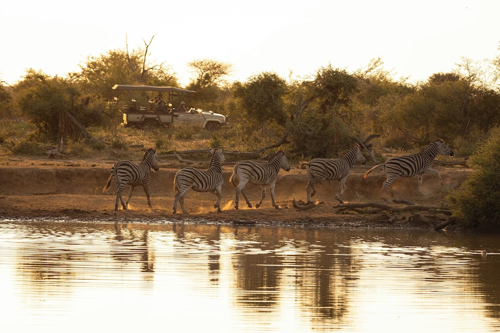 Rhulani Safari Lodge