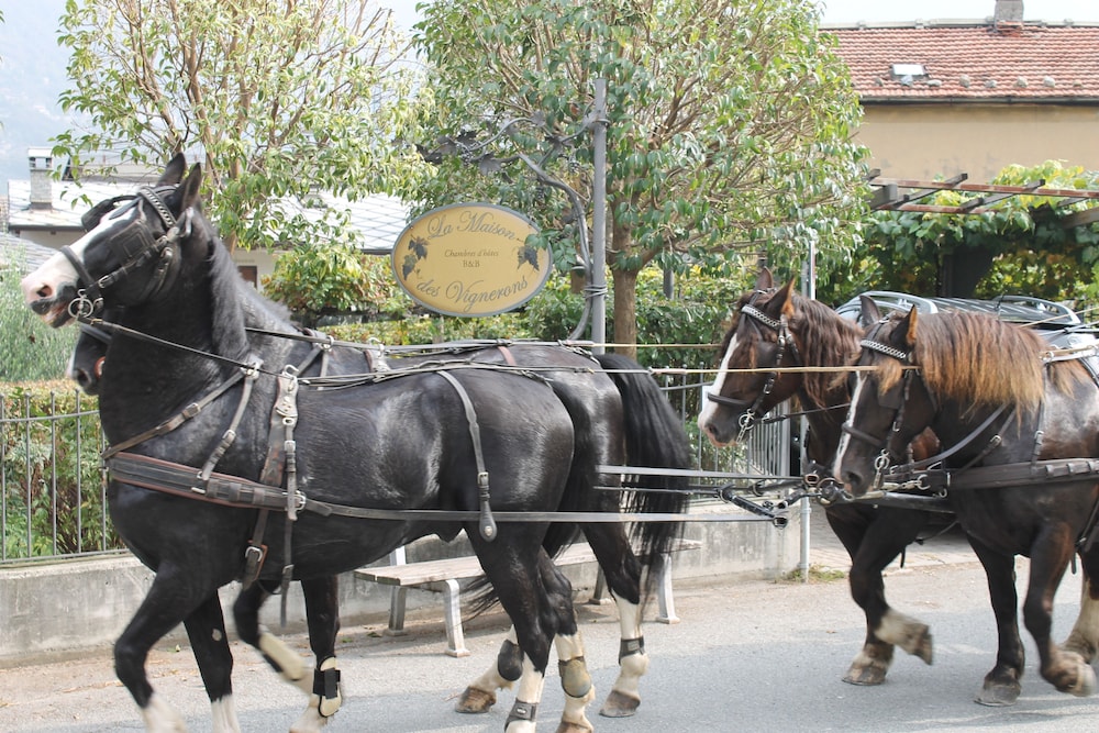 La Maison des Vignerons Chambres d'Hotes
