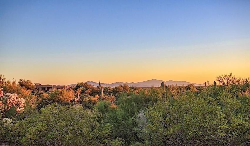 Saguaro Serenity By Signature Vacation Rentals