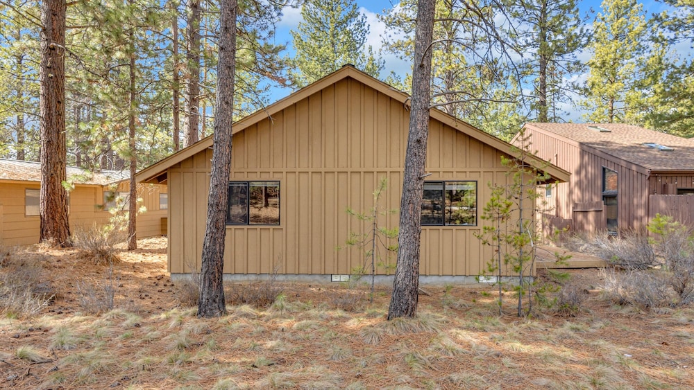 Coyote Lane 9