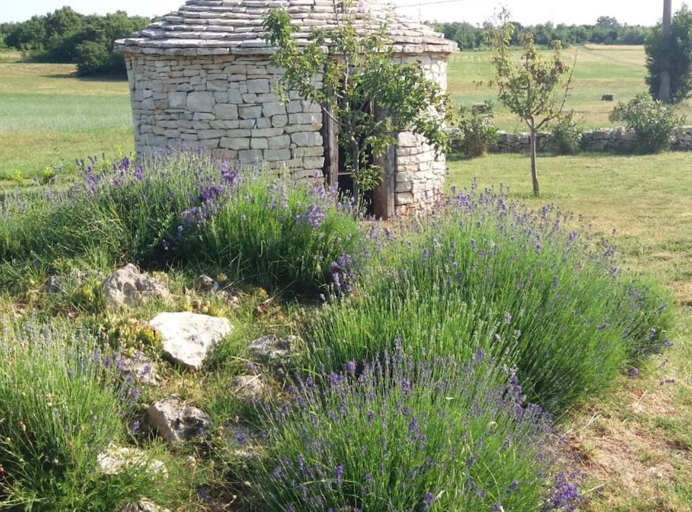 Authentic Istrian Rooms for Unforgettable Stays