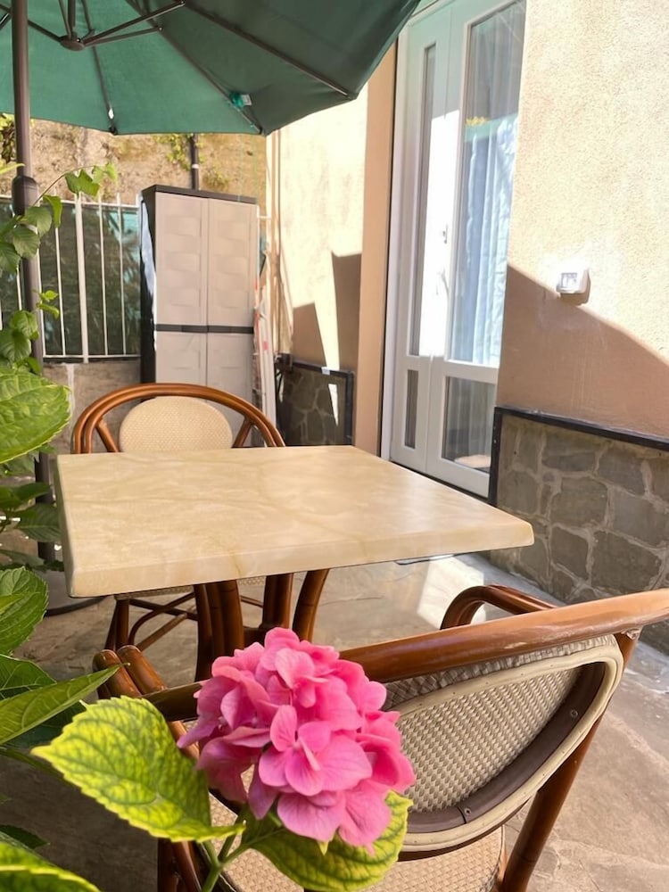 JOIVY Little Garden Studio Gattorno