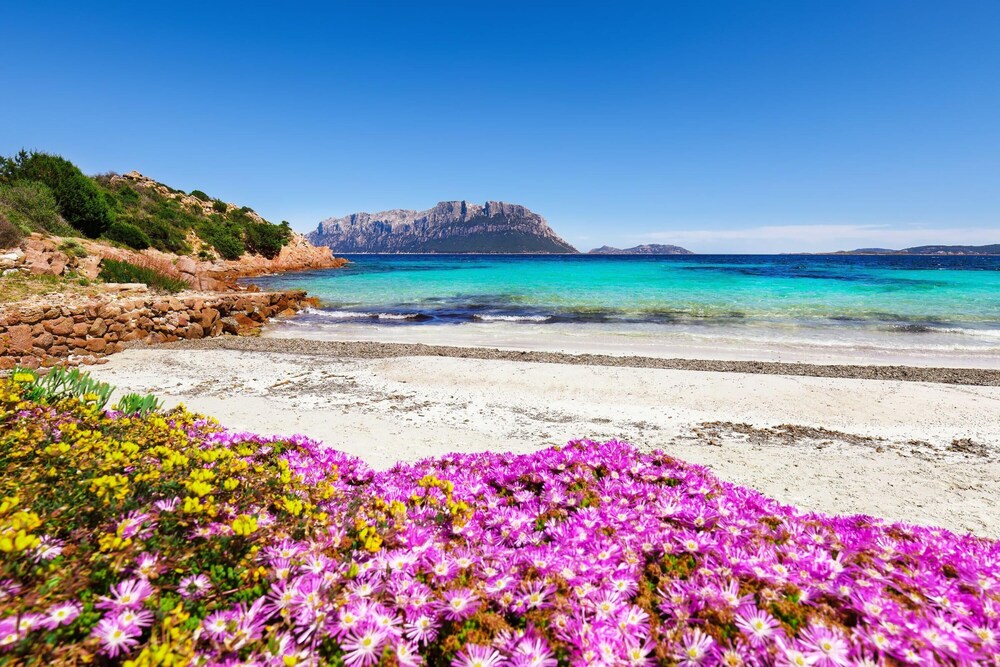 Home Le Querce en Olbia