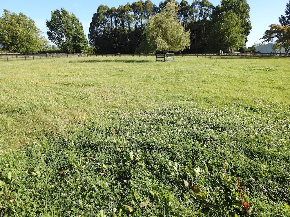 Grasslands Bed & Breakfast, photo 20