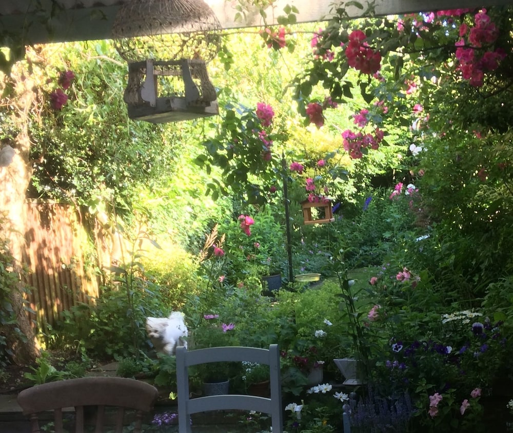 Arts & Bichons B&B