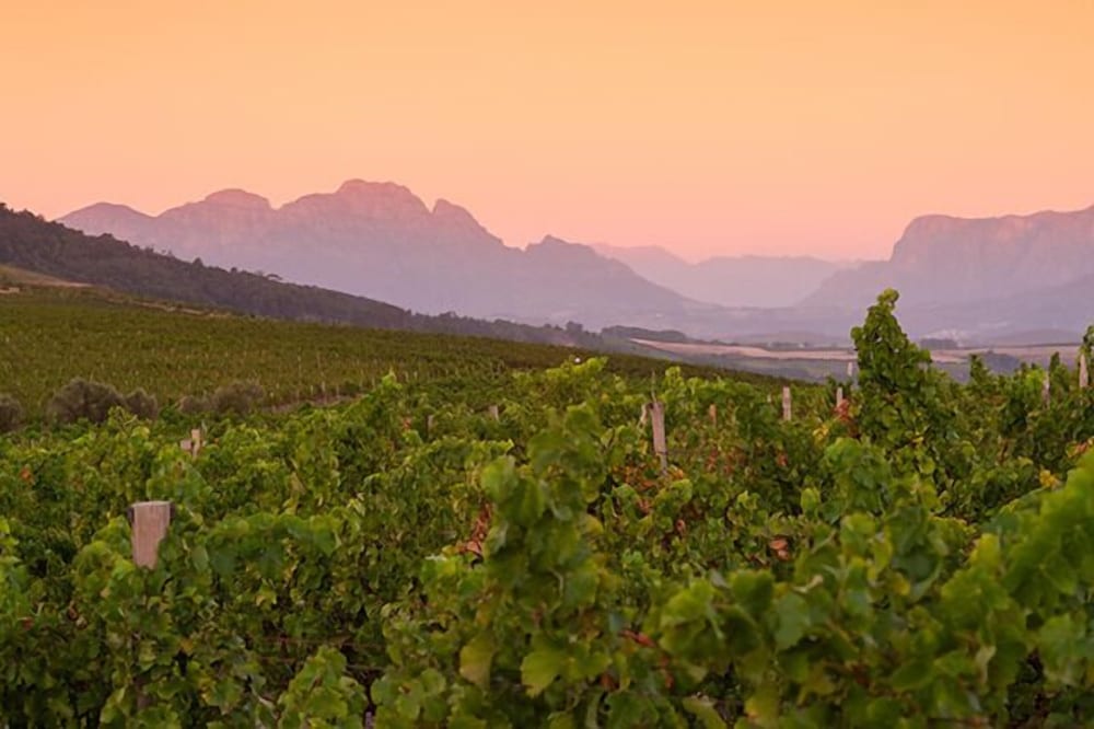 Jordan Wines Luxury Suites