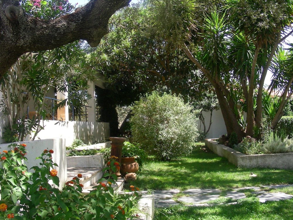Photo 18