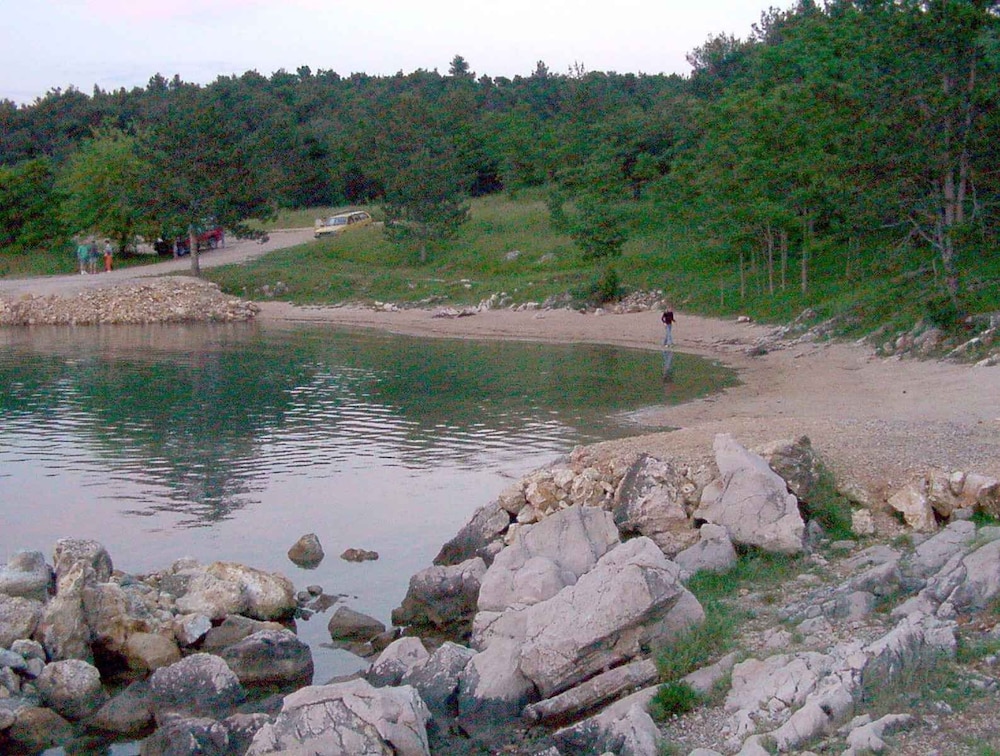 Apartments in Malinska/insel Krk 12469