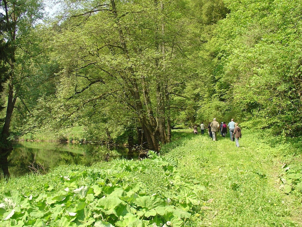 Farmhouse in Wilsecker Near Moselle Boat Tours