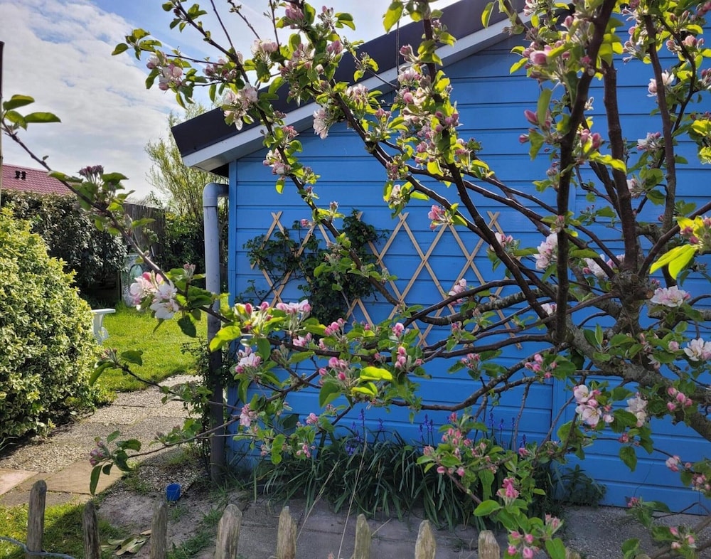 Attractive Bungalow Near Beach, Dunes