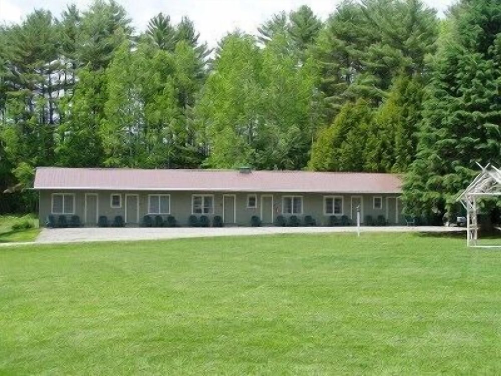 Pine Tree Motel & Cabins