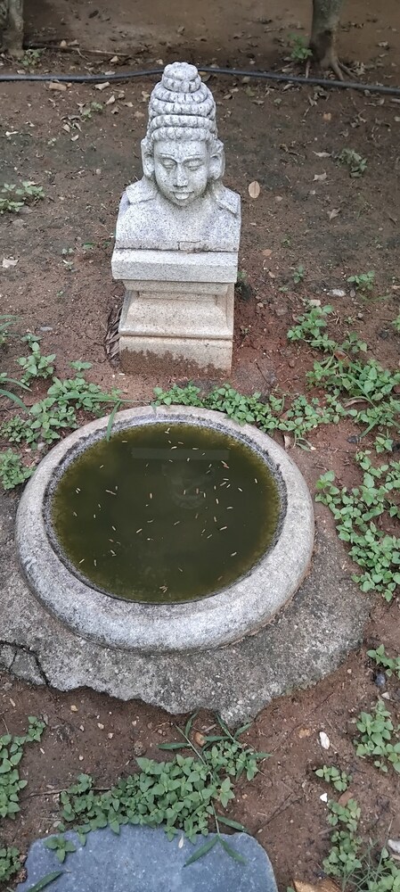 Pavanputra Resort Hassan