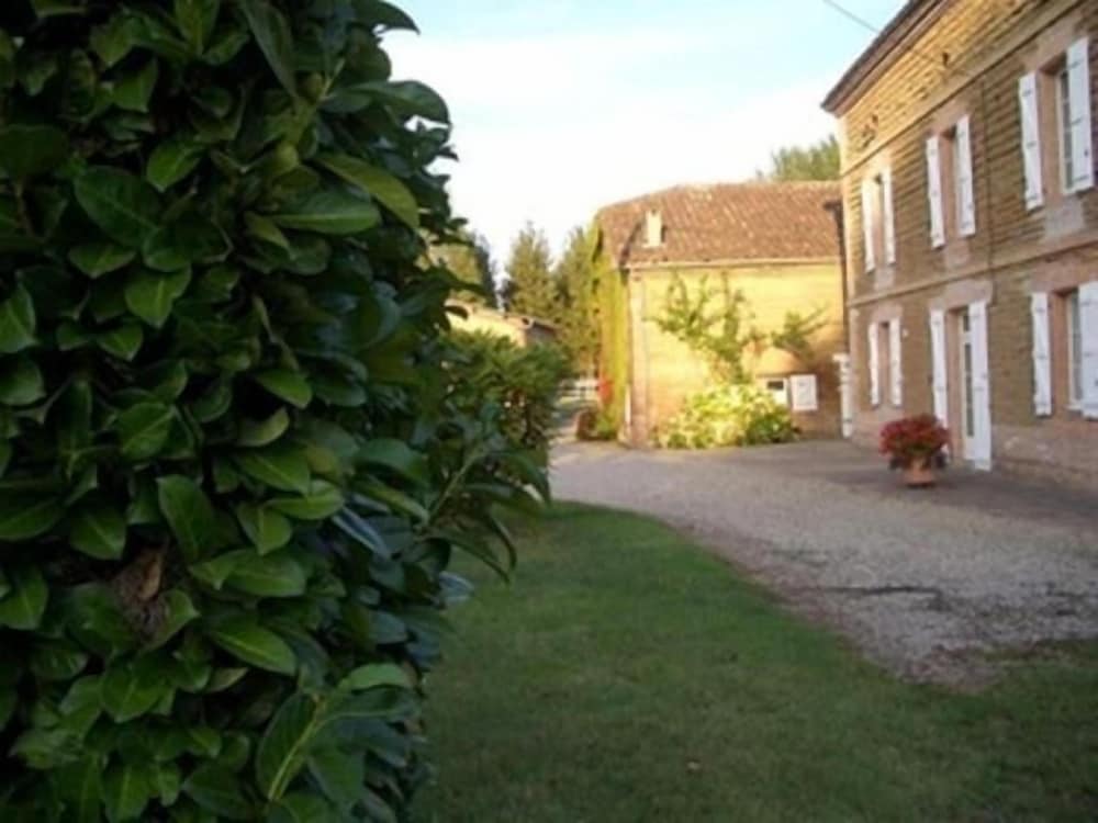 Le Platane