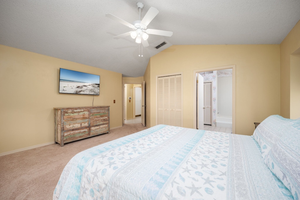 Dolphin Dream view 4