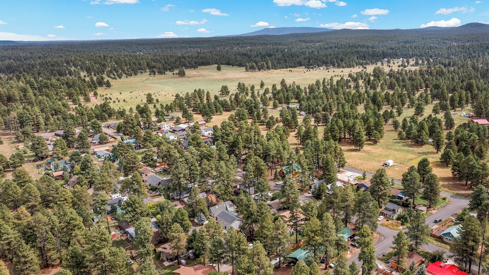 Kiowa Cabin Hideaway 6-guest Mins to Dwtn Trails