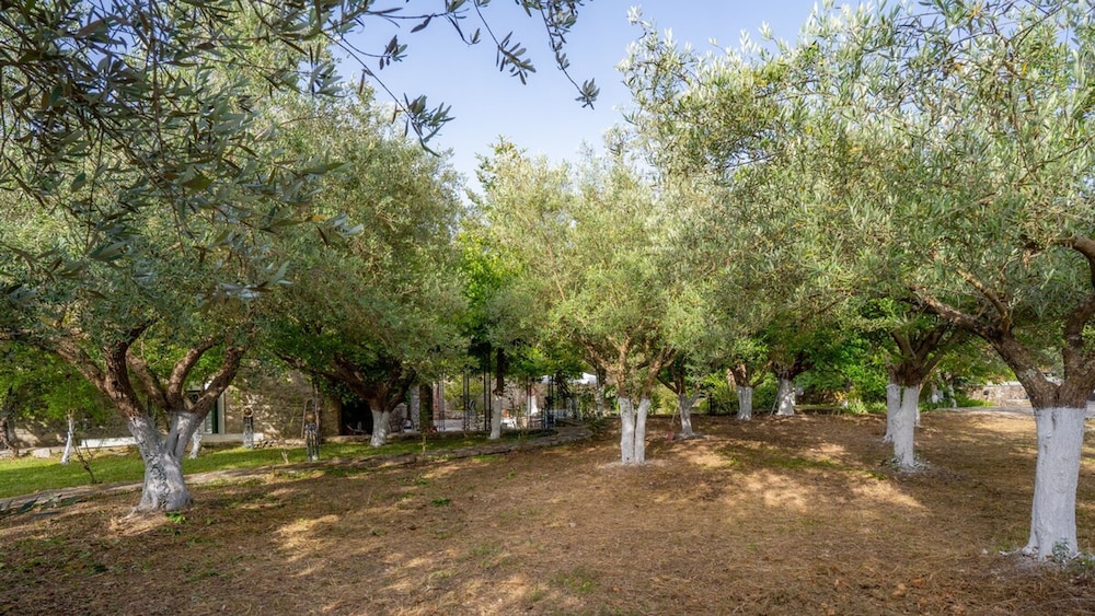 Aspro Stone Mansion in the Best Area of Lefkada