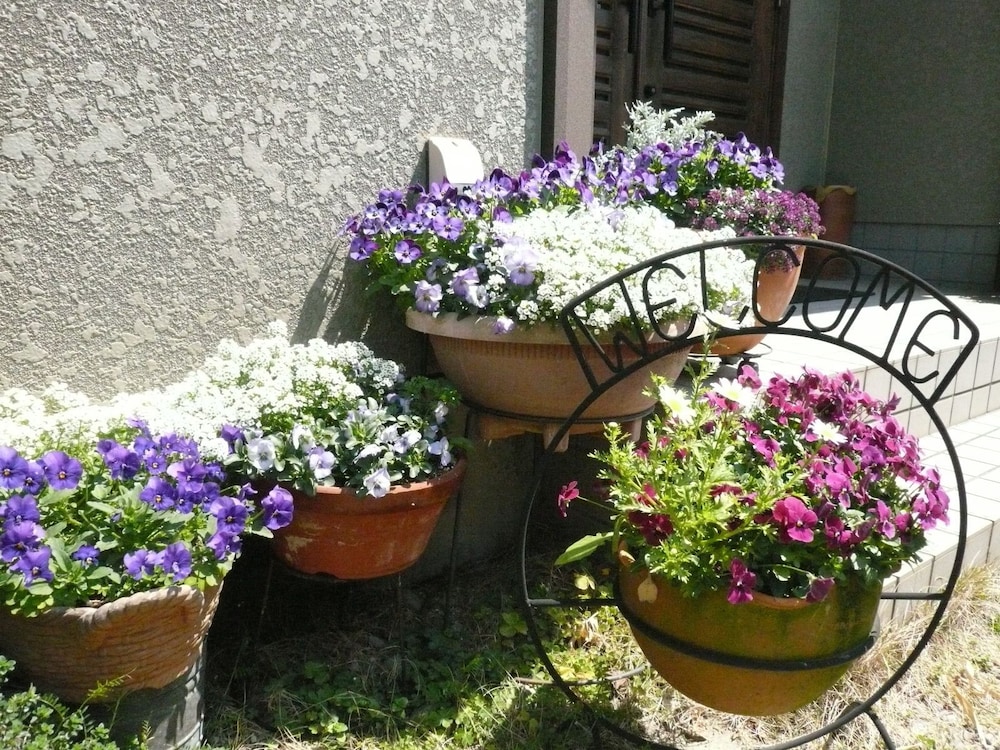 Pension Sirogisu