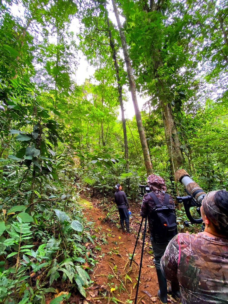 Las Arrieras Nature Reserve