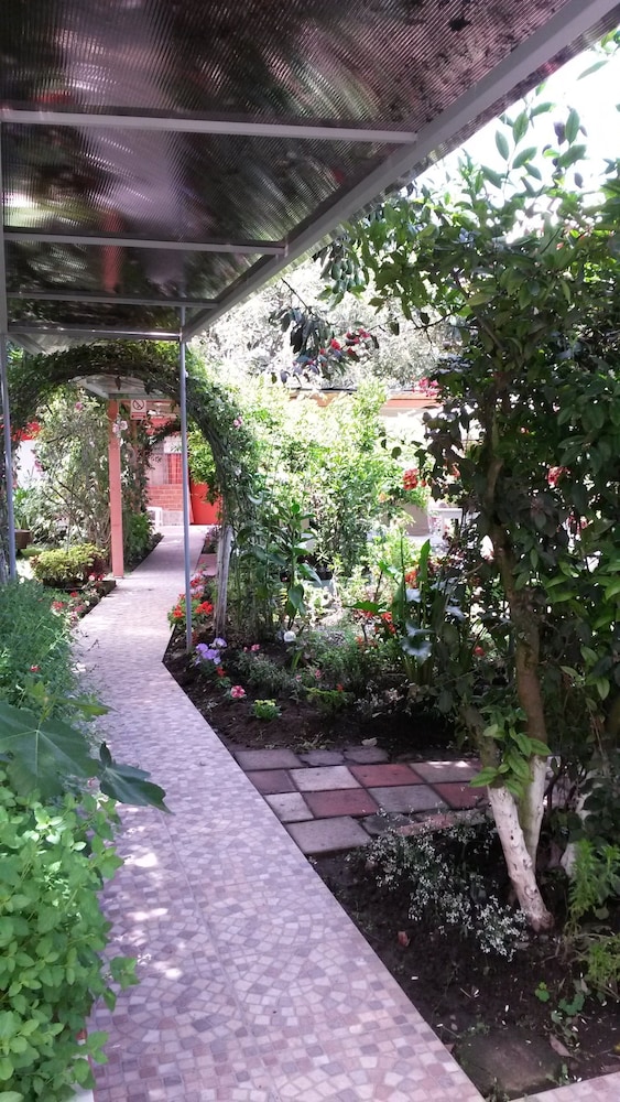 Hostal El Parque