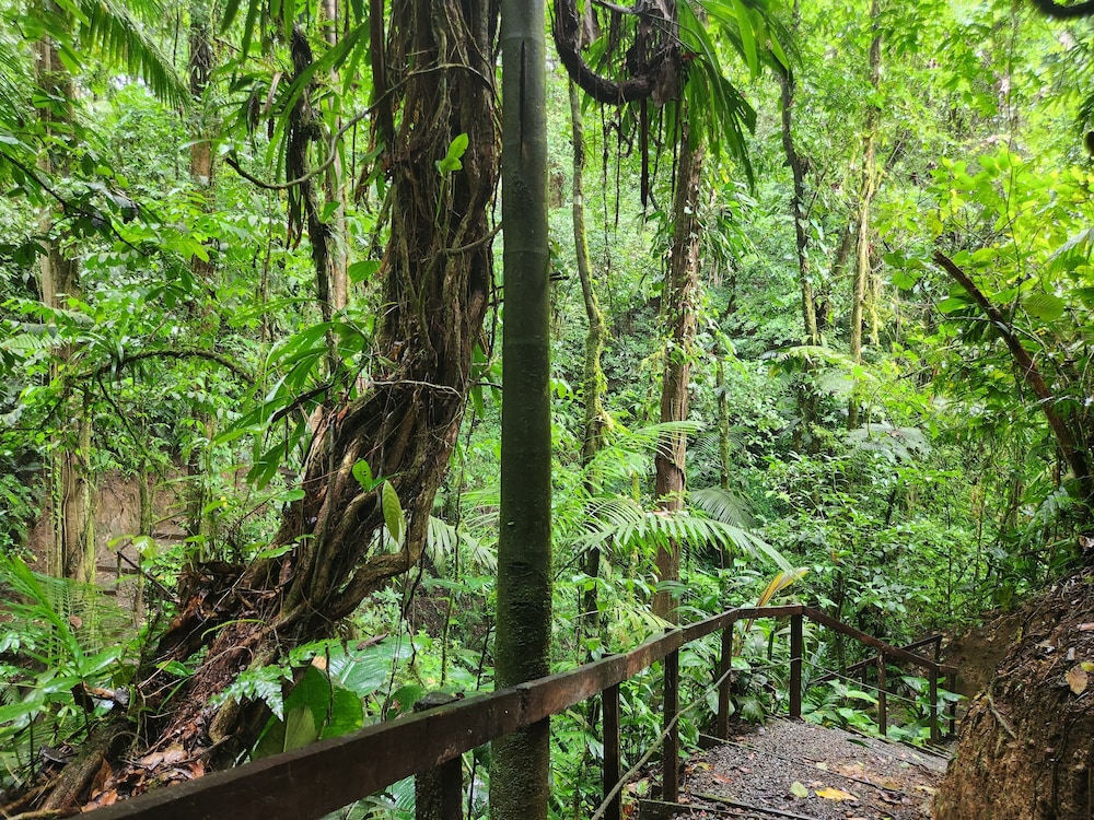 Cabañas Caeli, El Colibri, NEW La Fortuna Rainforest Cabin w Panoramic Views