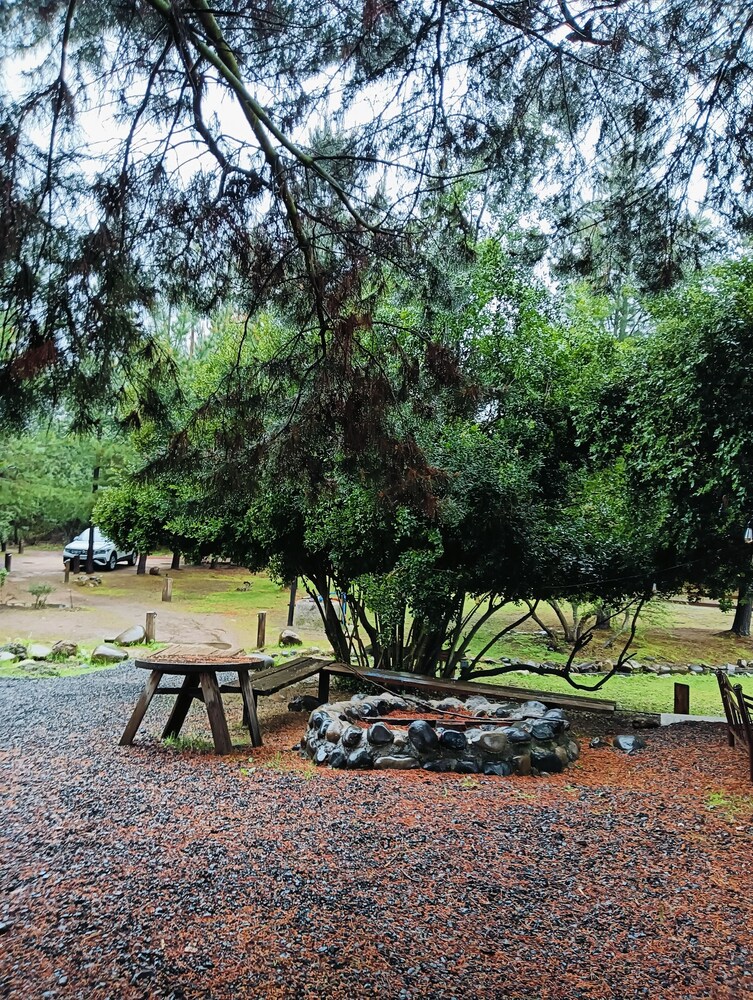 Refugio Silvestre