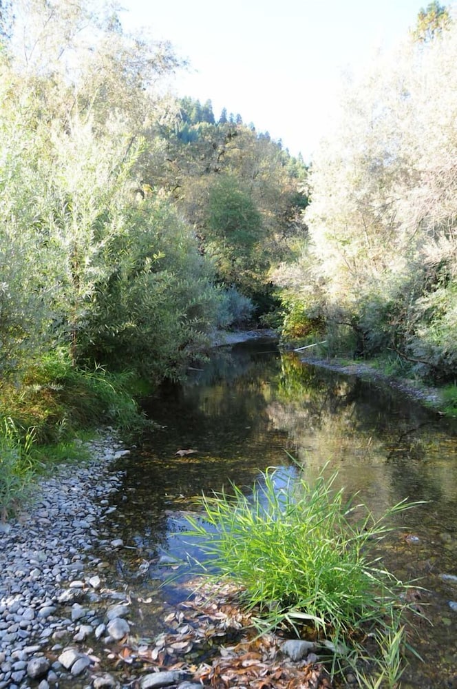 Morrison's Rogue River Lodge