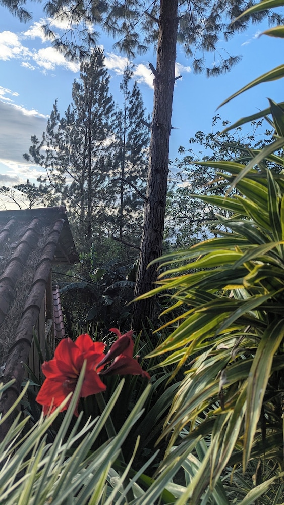 Campos de Oro Wilderness Lodge